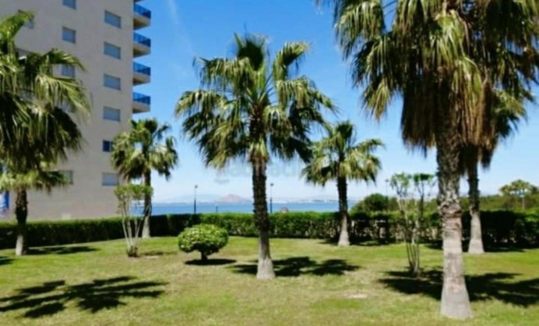 Apartamento La Manga Lejlighed Eksteriør billede